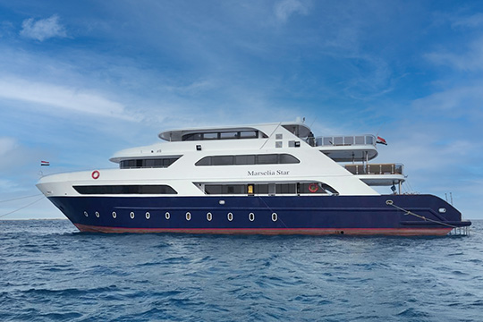 Marsalia Star Safariboot